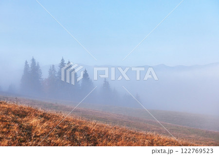 Beautiful morning fog and sunbeams on the mountain slope in the autumn pine forest 122769523