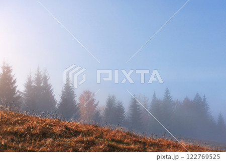 Beautiful morning fog and sunbeams on the mountain slope in the autumn pine forest 122769525