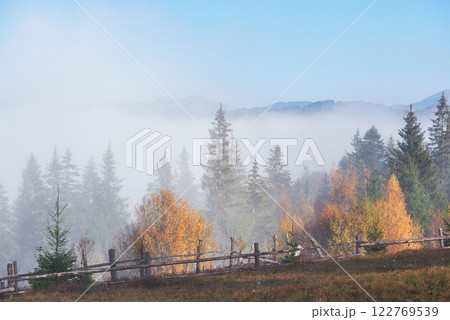 Morning fog creeps with scraps over autumn mountain forest covered in gold leaves 122769539