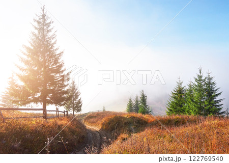Morning fog creeps with scraps over autumn mountain forest covered in gold leaves Morning fog creeps with scraps over autumn mountain forest covered in gold leaves 122769540