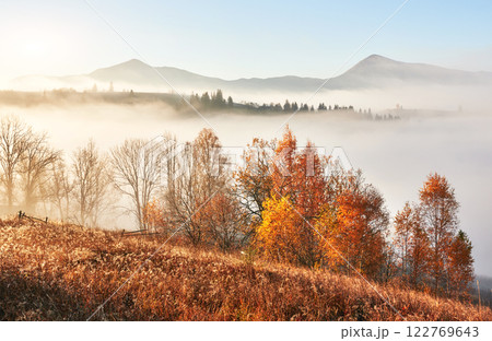Majestic landscape with autumn trees in misty forest. Carpathian, Ukraine, Europe. Beauty world Majestic landscape with autumn trees in misty forest. Carpathian, Ukraine, Europe. Beauty world 122769643