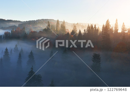 Fairy sunrise in the mountain forest landscape in the morning. The fog over the majestic pine forest. Carpathian, Ukraine, Europe. Beauty world Fairy sunrise in the mountain forest landscape in the morning. The fog over the majestic pine forest. Carpathian, Ukraine, Europe. Beauty world 122769648