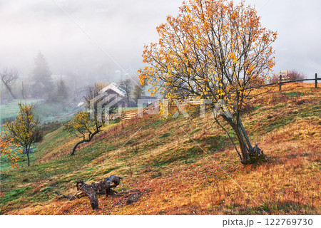 Shiny tree on a hill slope with sunny beams at mountain valley covered with fog. Gorgeous morning scene. Red and yellow autumn leaves. Carpathians, Ukraine, Europe. Discover the world of beauty 122769730