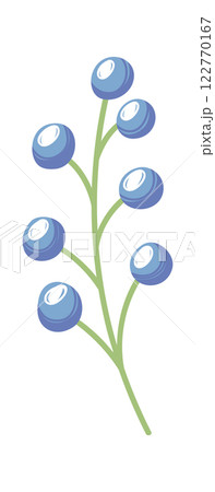Blueberry plant twig decoration pattern Blueberry plant twig decoration pattern 122770167