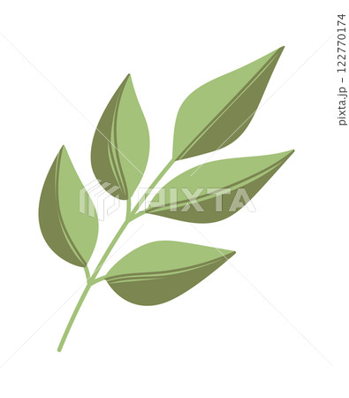 Tree plant stem spring element 122770174