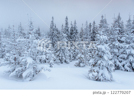Fantastic winter landscape. On the eve of the holiday. The dramatic scene. Carpathian, Ukraine, Europe. Happy New Year 122770207