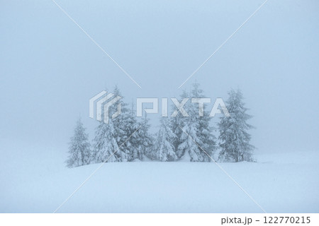 Fantastic winter landscape. On the eve of the holiday. The dramatic scene. Carpathian, Ukraine, Europe. Happy New Year 122770215