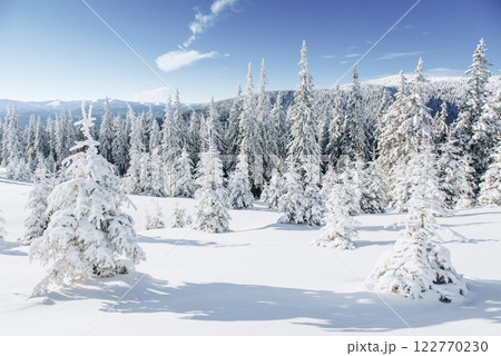 Fantastic winter landscape. Magic sunset in the mountains a frosty day. On the eve of the holiday. The dramatic scene. Carpathian, Ukraine, Europe. Happy New Year 122770230