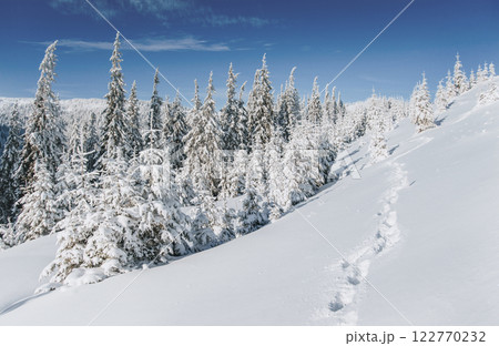 Fantastic winter landscape. Magic sunset in the mountains a frosty day. On the eve of the holiday. The dramatic scene. Carpathian, Ukraine, Europe. Happy New Year Fantastic winter landscape. Magic sunset in the mountains a frosty day. On the eve of the holiday. The dramatic scene. Carpathian, Ukraine, Europe. Happy New Year 122770232