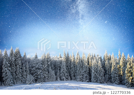 magical winter snow covered tree. Winter landscape. The winter lake is frozen on the front magical winter snow covered tree. Winter landscape. The winter lake is frozen on the front 122770336