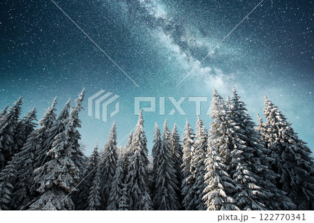 magical winter snow covered tree. Winter landscape. The winter lake is frozen on the front magical winter snow covered tree. Winter landscape. The winter lake is frozen on the front 122770341