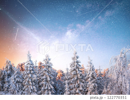 magical winter snow covered tree. Winter landscape. magical winter snow covered tree. Winter landscape. 122770351