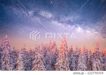 magical winter snow covered tree. Winter landscape. magical winter snow covered tree. Winter landscape. 122770354