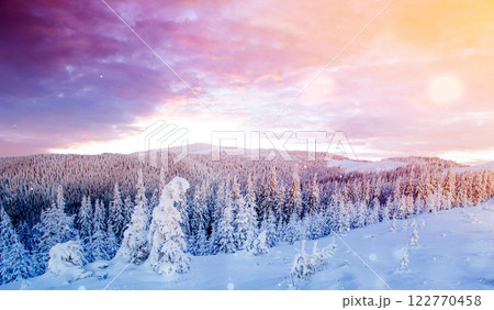 Mysterious winter landscape majestic mountains in winter. Magical winter snow covered tree. Photo greeting card. Bokeh light effect, soft filter. 122770458