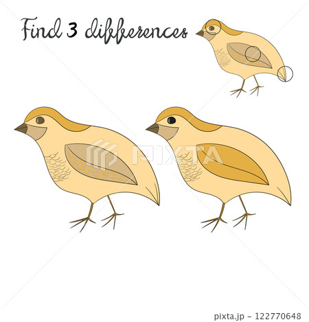 Find differences kids layout for game quail Find differences kids layout for game quail 122770648