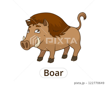 Forest animal boar cartoon for children vector 122770649