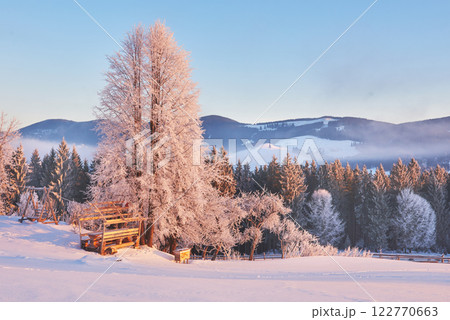 winter landscape trees and fence in hoarfrost, background with  snow flakes 122770663