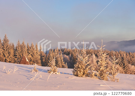 winter landscape trees and fence in hoarfrost, background with snow flakes winter landscape trees and fence in hoarfrost, background with snow flakes 122770680