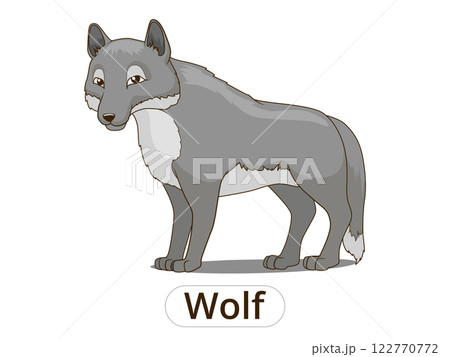 Forest animal wolf cartoon vector illustration 122770772