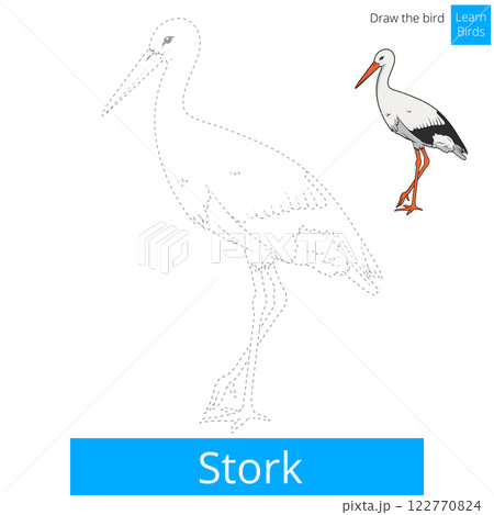 Stork bird learn to draw vector 122770824