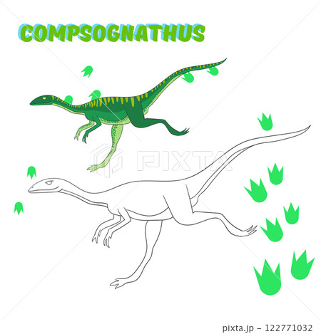 Educational game coloring book dinosaur vector 122771032