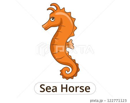 Sea horse underwater animal cartoon illustration 122771123