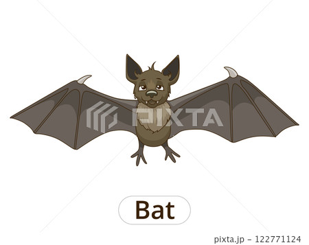 Forest animal bat cartoon vector illustration Forest animal bat cartoon vector illustration 122771124