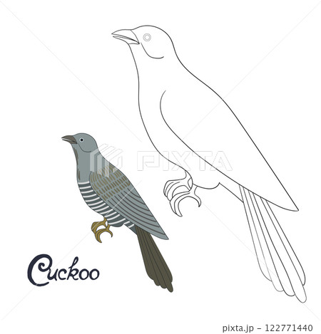 Educational game coloring book cuckoo bird vector Educational game coloring book cuckoo bird vector 122771440