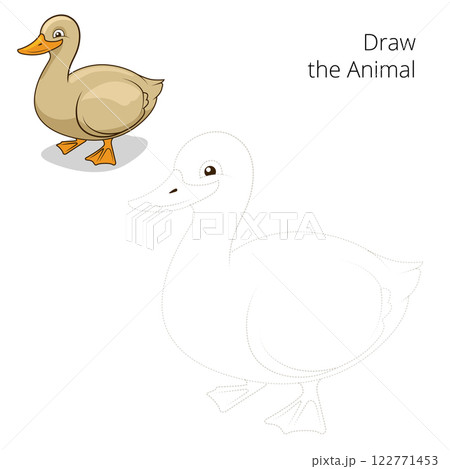Draw the animal duck educational game vector 122771453