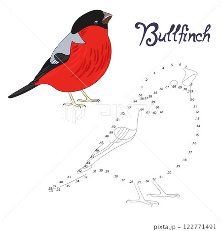 Educational game connect the dots to draw bird Educational game connect the dots to draw bird 122771491
