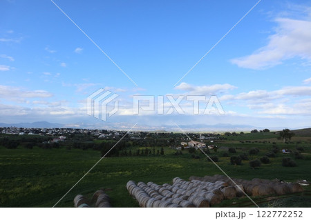 Scenic view of hay bales in a green field. Food for herbivores. Scenic view of hay bales in a green field. Food for herbivores. 122772252