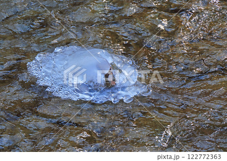 牛伏川　氷の造形 122772363