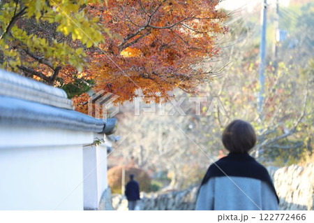 寺の紅葉が綺麗な通り道を散歩する女性 寺の紅葉が綺麗な通り道を散歩する女性 122772466