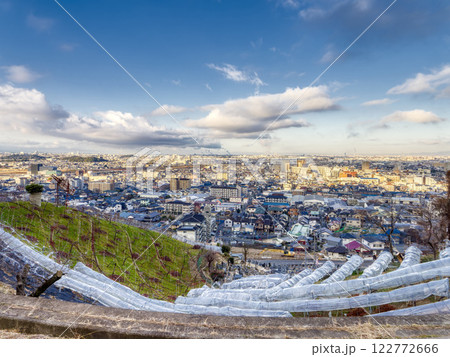 【HDR】斜面の葡萄畑と街の風景 122772666