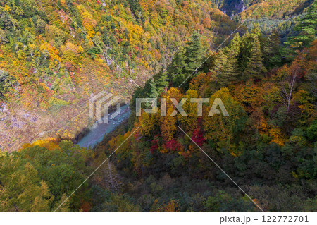 秋の立山黒部アルペンルート　紅葉の黒部ダム（黒部湖） 122772701