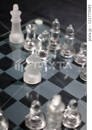チェスの名勝負の棋譜（世紀のゲーム） 122773085
