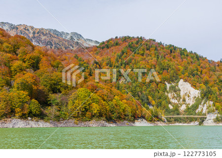 秋の立山黒部アルペンルート　紅葉の黒部ダム（黒部湖） 122773105