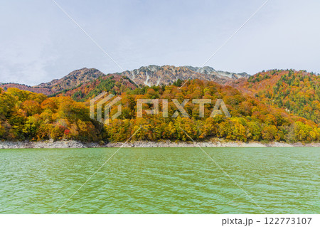 秋の立山黒部アルペンルート　紅葉の黒部ダム（黒部湖） 122773107