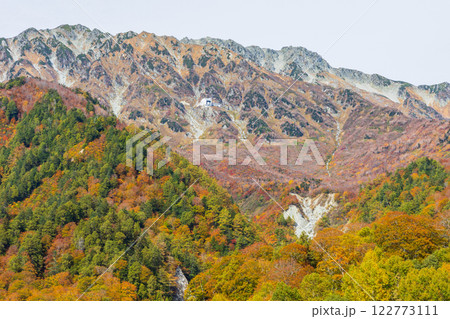 秋の立山黒部アルペンルート　紅葉の黒部ダム（黒部湖） 122773111