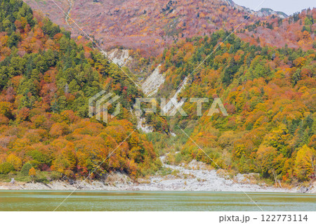 秋の立山黒部アルペンルート　紅葉の黒部ダム（黒部湖） 122773114
