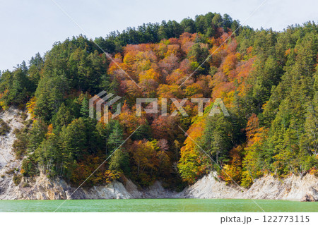 秋の立山黒部アルペンルート　紅葉の黒部ダム（黒部湖） 122773115
