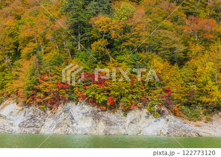 秋の立山黒部アルペンルート 紅葉の黒部ダム(黒部湖) 秋の立山黒部アルペンルート 紅葉の黒部ダム(黒部湖) 122773120