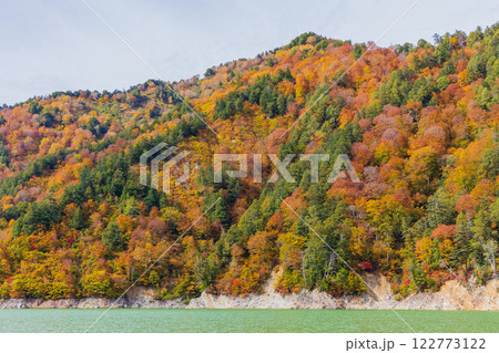 秋の立山黒部アルペンルート　紅葉の黒部ダム（黒部湖） 122773122