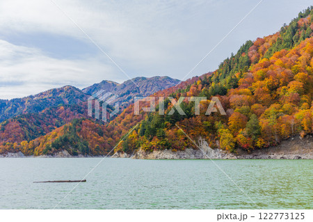 秋の立山黒部アルペンルート 紅葉の黒部ダム(黒部湖) 秋の立山黒部アルペンルート 紅葉の黒部ダム(黒部湖) 122773125