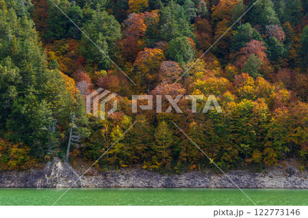 秋の立山黒部アルペンルート 紅葉の黒部ダム(黒部湖) 秋の立山黒部アルペンルート 紅葉の黒部ダム(黒部湖) 122773146
