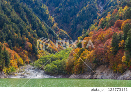 秋の立山黒部アルペンルート　紅葉の黒部ダム（黒部湖） 122773151