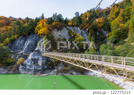 秋の立山黒部アルペンルート　紅葉の黒部ダム（黒部湖）　カンパ谷の吊り橋 122773215