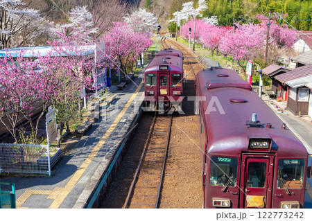 花桃咲く神戸駅と上下線 花桃咲く神戸駅と上下線 122773242