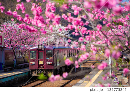 花桃咲く神戸駅 122773245