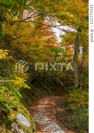 秋の立山黒部アルペンルート　紅葉の黒部ダム（黒部湖）　湖畔遊歩道 122773331